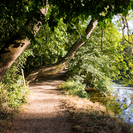 Thames Path