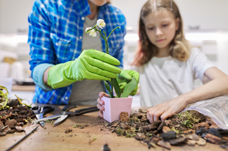 Adult and child planting a houseplant