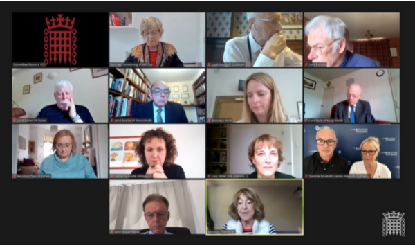 screenshot of video call featuring Catherine Roche and House of Lords representatives