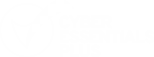 Cyber