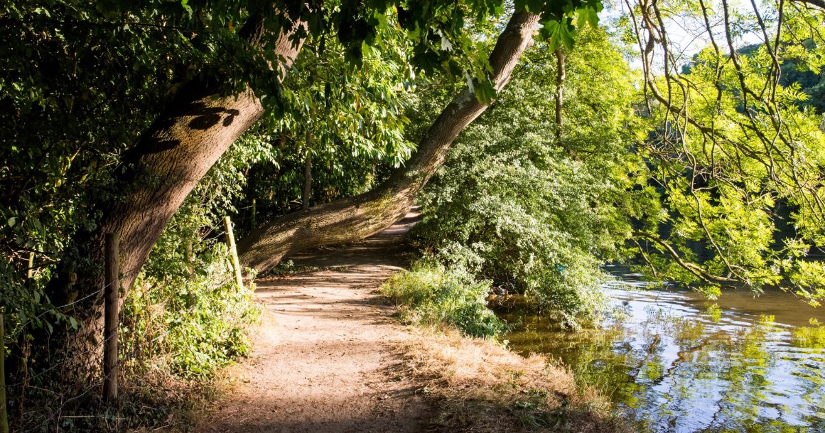 Model.EventDetailImage