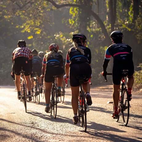 Cyclists on a road