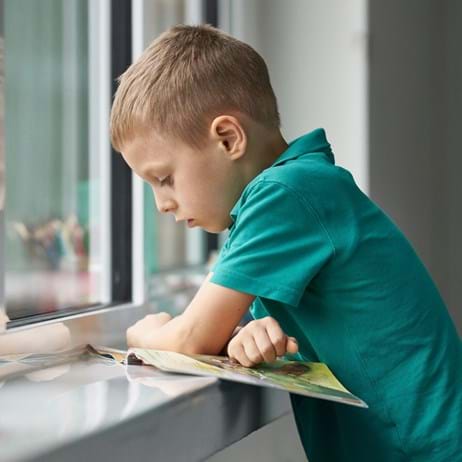Boy reading by a window